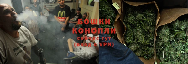2c-b Новозыбков