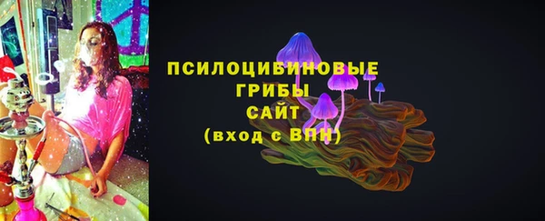 2c-b Новозыбков