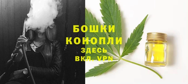 spice Новодвинск