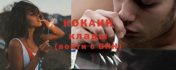 2c-b Новозыбков