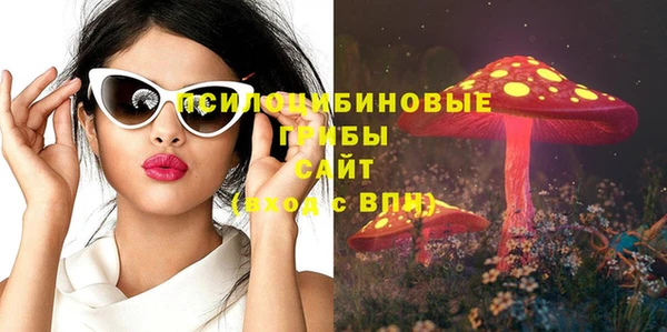 spice Новодвинск