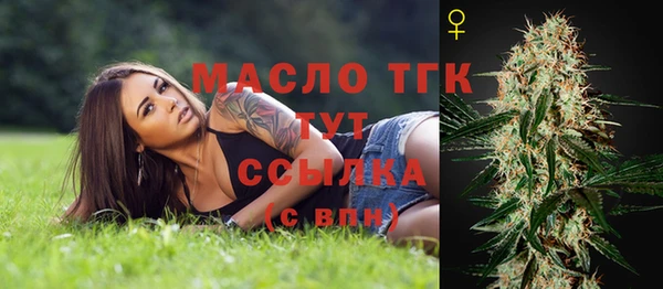 spice Новодвинск