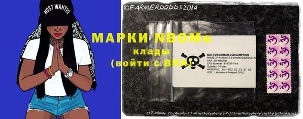 2c-b Новозыбков