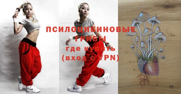 spice Новодвинск