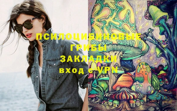 apvp Няндома