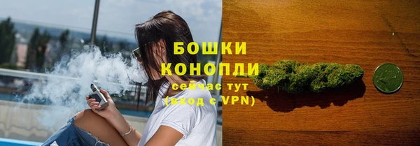 spice Новодвинск