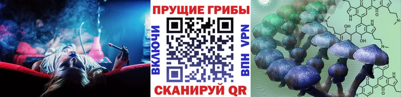 Галлюциногенные грибы MAGIC MUSHROOMS  darknet наркотические препараты  Кинешма 