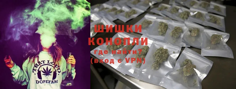 купить наркотики сайты  Кинешма  МАРИХУАНА SATIVA & INDICA 